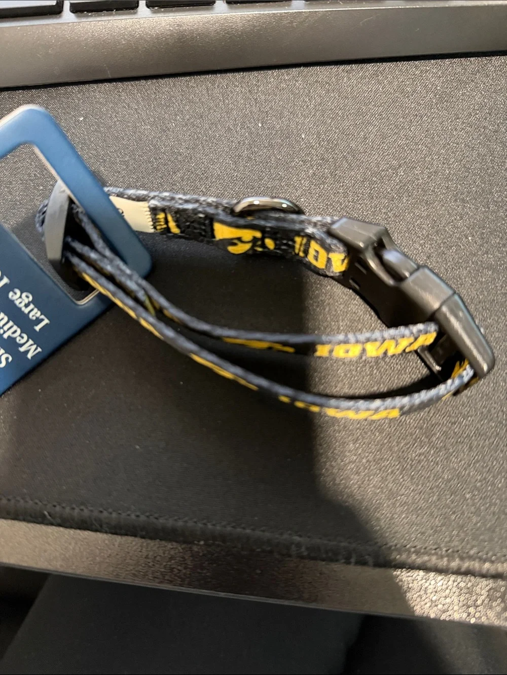 Iowa Hawkeye Dog Collar